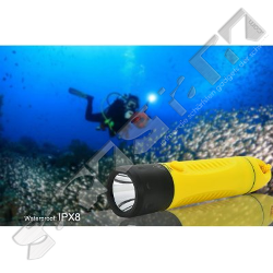  FlashMax 600XML-T6 CREE LED Taucher-Taschenlampe 600 Lumen, 40m IPX8 wasserdicht mit Ladegerät 